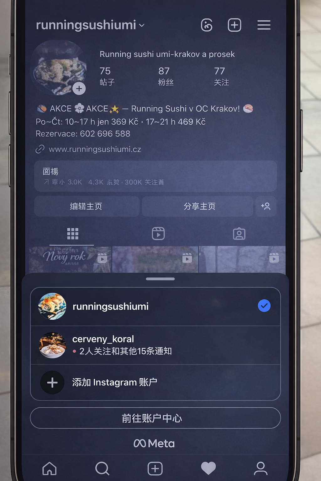 UMI Instagram před spoluprací